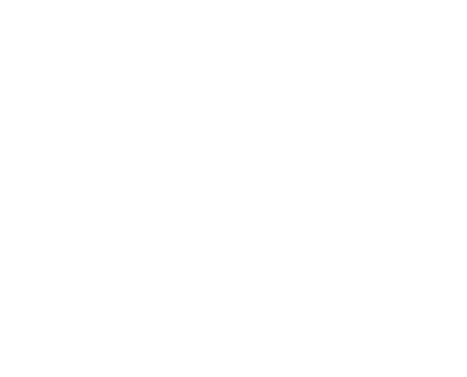 Wi-Fi & Networking